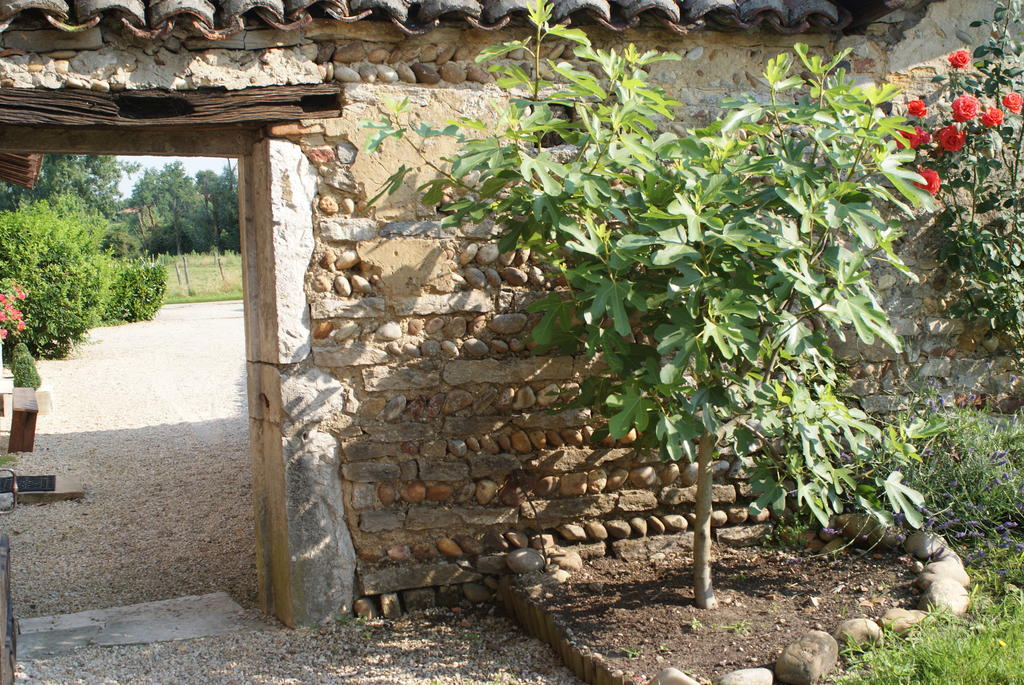 Le Moulin De Champagne Acomodação com café da manhã Viriat Exterior foto