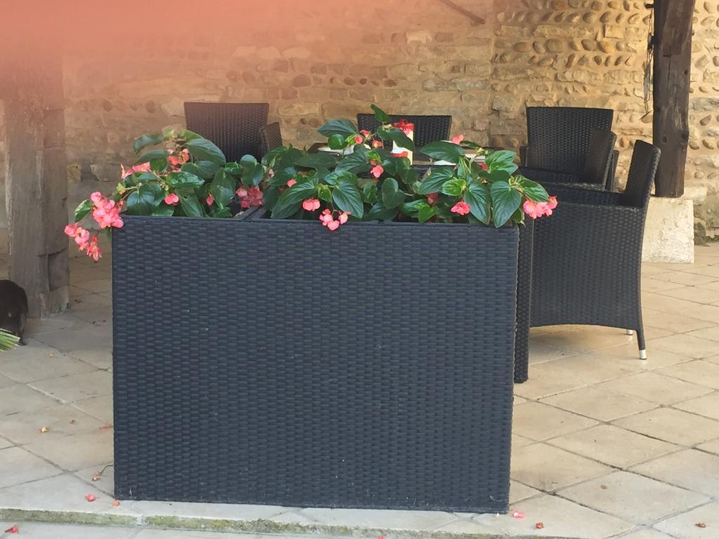 Le Moulin De Champagne Acomodação com café da manhã Viriat Exterior foto